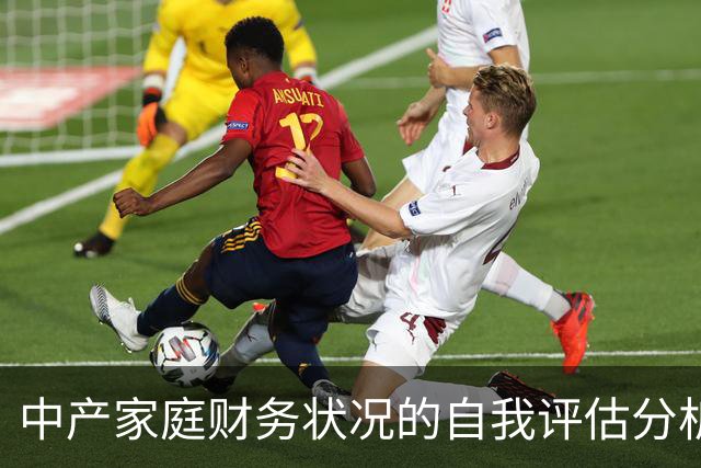 中产家庭财务状况的自我评估分析