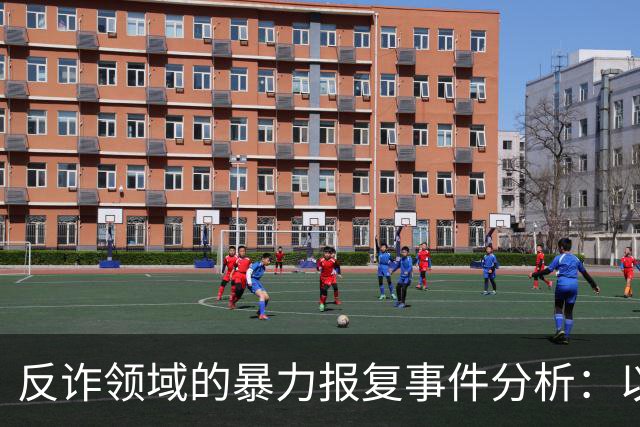 反诈领域的暴力报复事件分析：以“徽剑”案为例